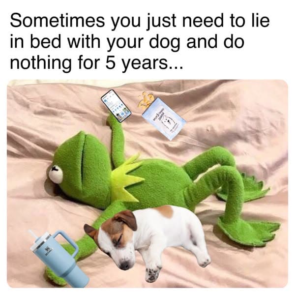 Meme