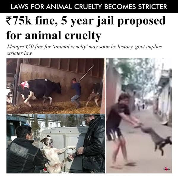 Media / press